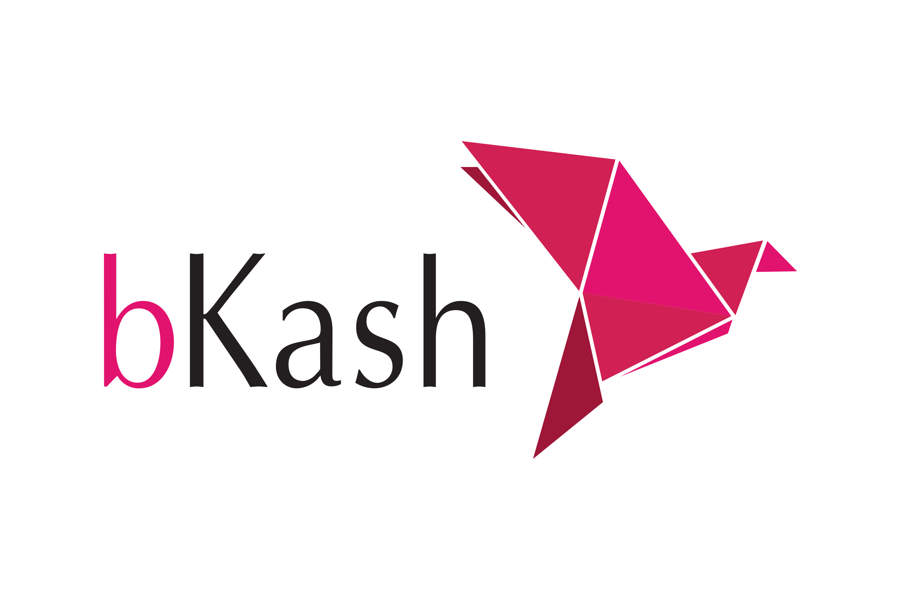 bKash Manual