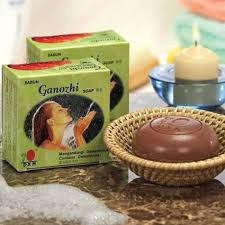 Dxn Ganozhi Soap