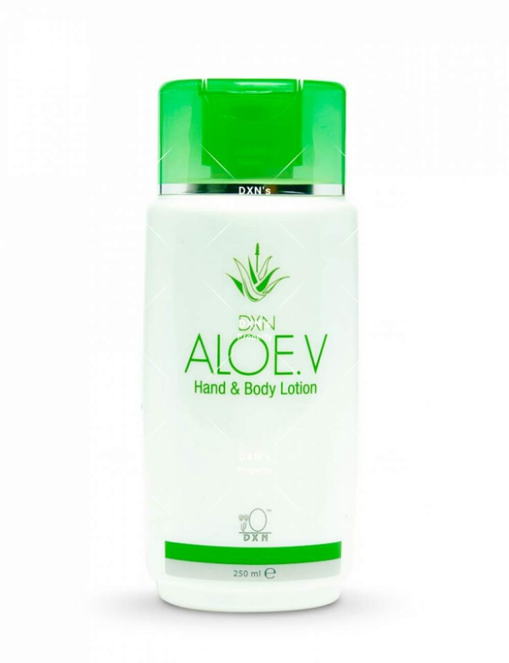 DXN Aloe V Hand & Body Lotion
